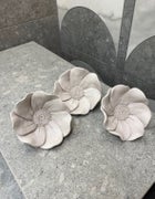 UUTUUS! Kiuaskukka vuokko, vaaleanharmaa  (3 kpl/pkt)